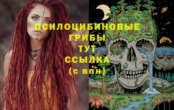 круглые Новодвинск