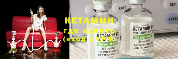 шишки Апатиты