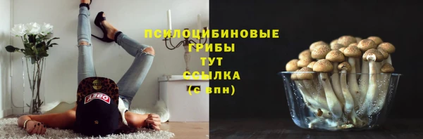 круглые Новодвинск
