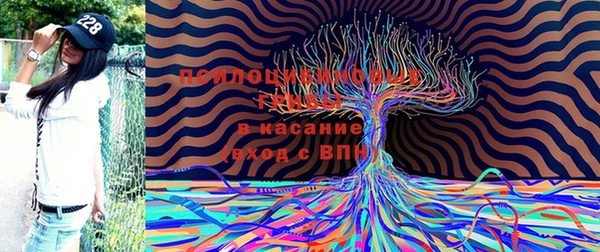 Альфа ПВП Новокубанск