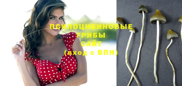 Альфа ПВП Новокубанск