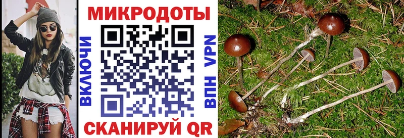 МЕГА рабочий сайт  где купить наркоту  Ставрополь  Галлюциногенные грибы Magic Shrooms 