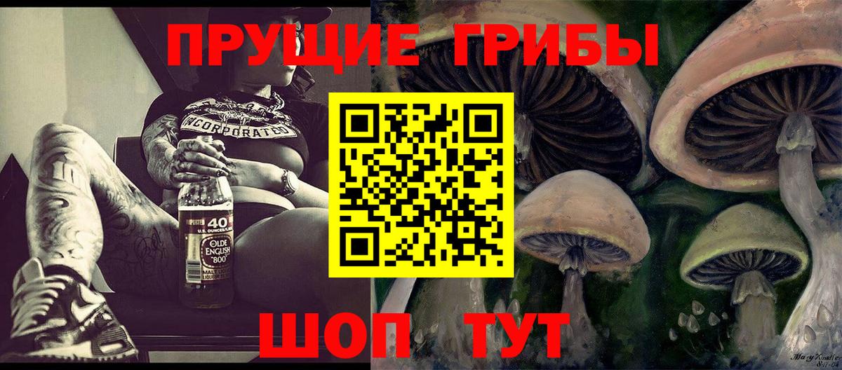 Псилоцибиновые грибы Cubensis  Ставрополь 