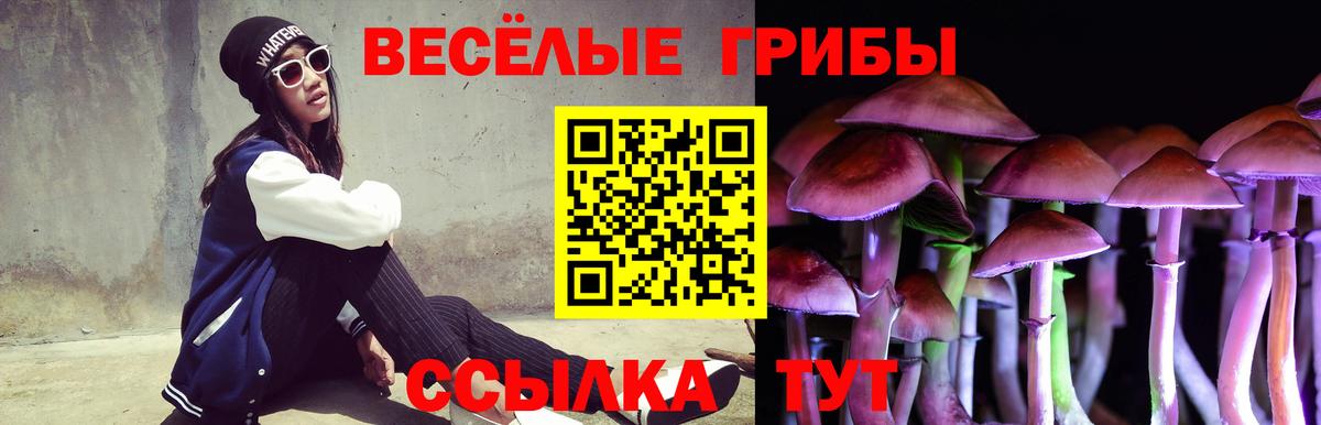 Ставрополь  Псилоцибиновые грибы Cubensis  Вход с VPN 